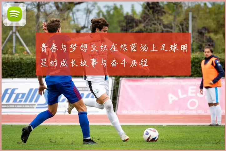 青春与梦想交织在绿茵场上足球明星的成长故事与奋斗历程