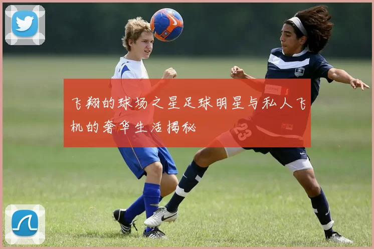 飞翔的球场之星足球明星与私人飞机的奢华生活揭秘
