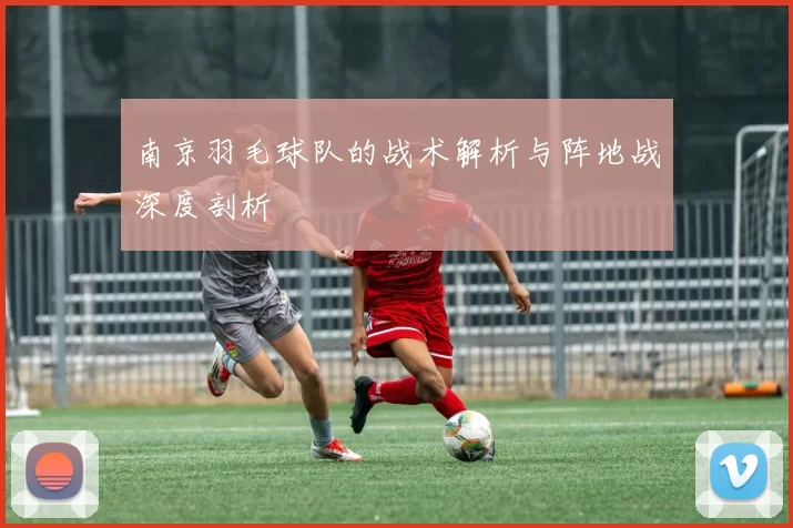 南京羽毛球队的战术解析与阵地战深度剖析