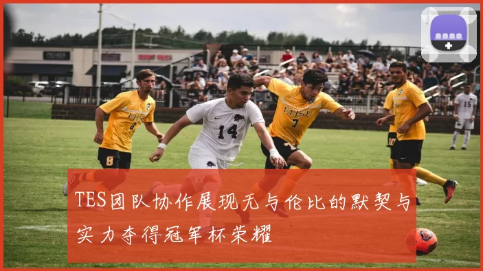 TES团队协作展现无与伦比的默契与实力夺得冠军杯荣耀