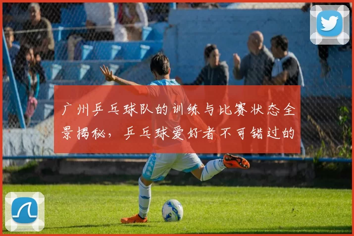 广州乒乓球队的训练与比赛状态全景揭秘，乒乓球爱好者不可错过的精彩瞬间