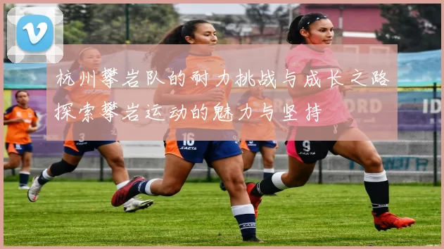 杭州攀岩队的耐力挑战与成长之路探索攀岩运动的魅力与坚持