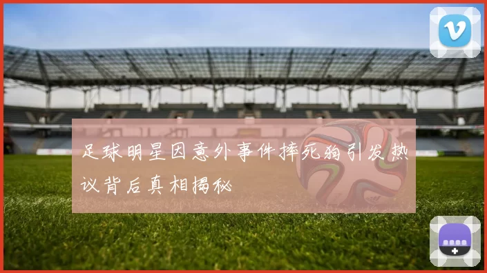 足球明星因意外事件摔死狗引发热议背后真相揭秘