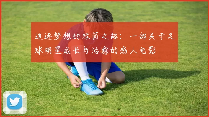 追逐梦想的绿茵之路：一部关于足球明星成长与治愈的感人电影