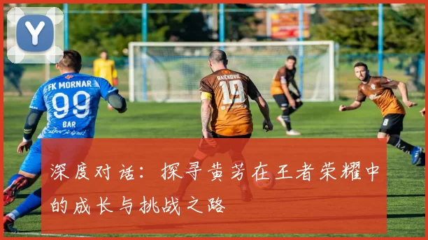 深度对话：探寻黄芳在王者荣耀中的成长与挑战之路