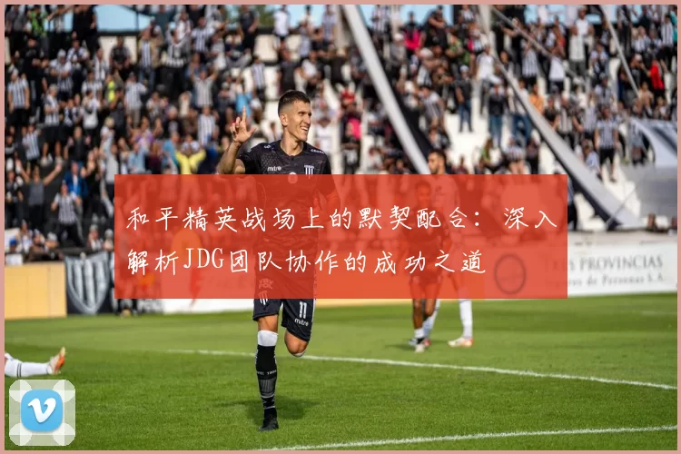 和平精英战场上的默契配合：深入解析JDG团队协作的成功之道
