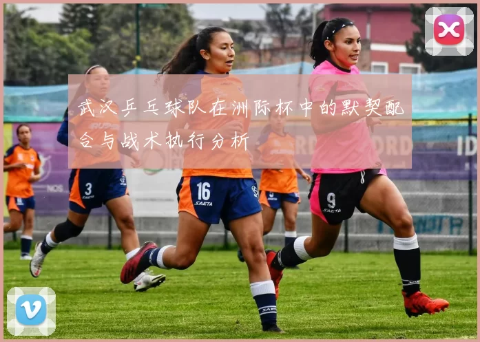 武汉乒乓球队在洲际杯中的默契配合与战术执行分析