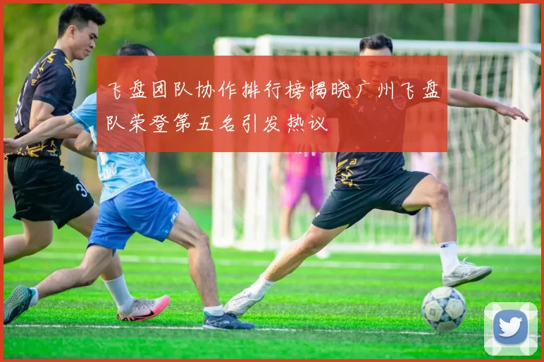 飞盘团队协作排行榜揭晓广州飞盘队荣登第五名引发热议