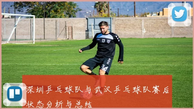 深圳乒乓球队与武汉乒乓球队赛后状态分析与总结