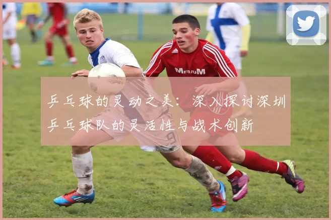 乒乓球的灵动之美：深入探讨深圳乒乓球队的灵活性与战术创新