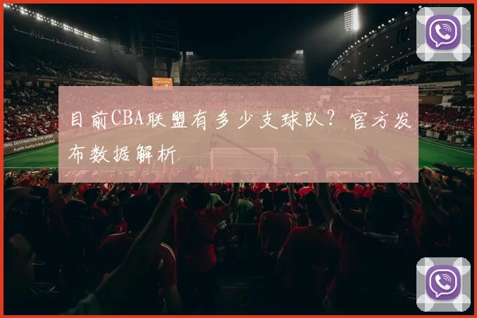 目前CBA联盟有多少支球队？官方发布数据解析