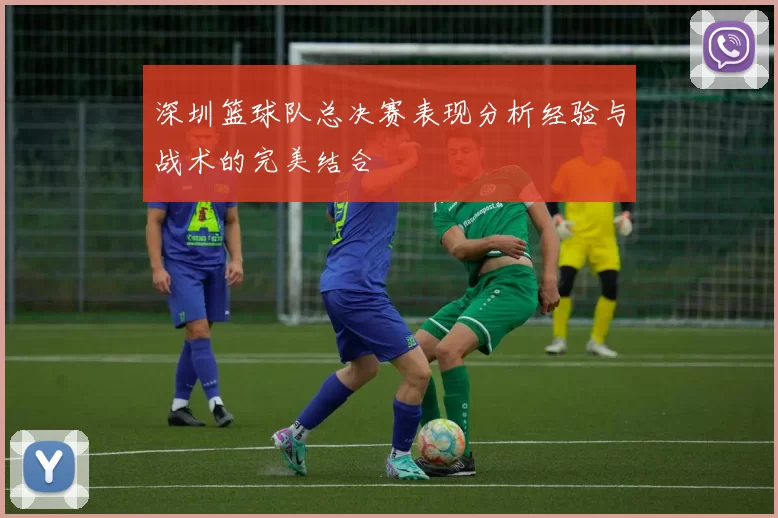 深圳篮球队总决赛表现分析经验与战术的完美结合