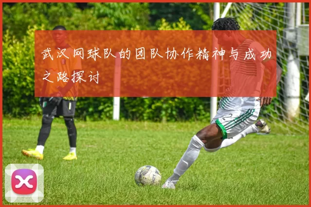 武汉网球队的团队协作精神与成功之路探讨