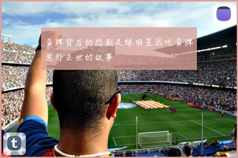黄牌背后的悲剧足球明星因吃黄牌意外去世的故事
