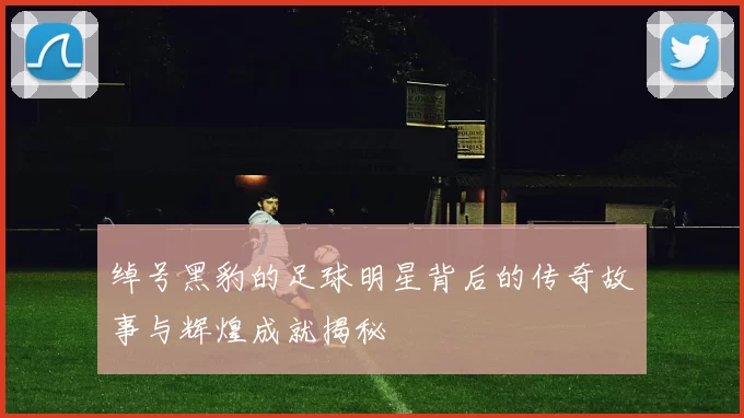 绰号黑豹的足球明星背后的传奇故事与辉煌成就揭秘