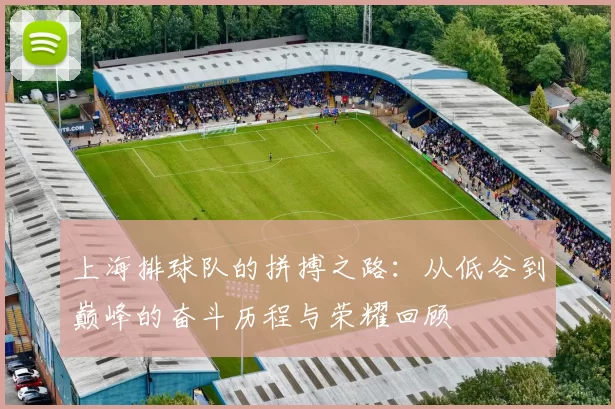 上海排球队的拼搏之路：从低谷到巅峰的奋斗历程与荣耀回顾
