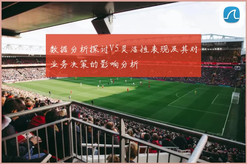 数据分析探讨V5灵活性表现及其对业务决策的影响分析