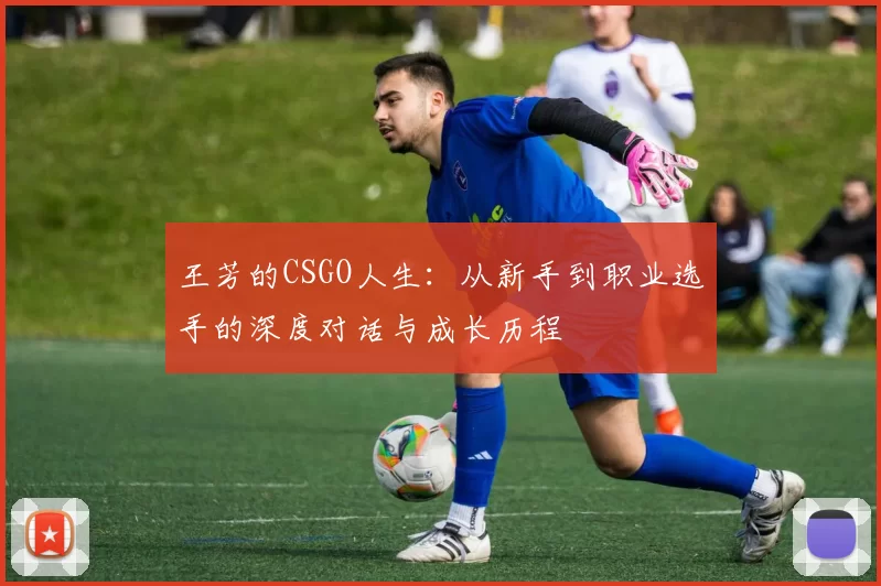 王芳的CSGO人生：从新手到职业选手的深度对话与成长历程