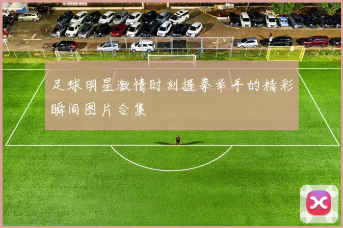 足球明星激情时刻握拳举手的精彩瞬间图片合集