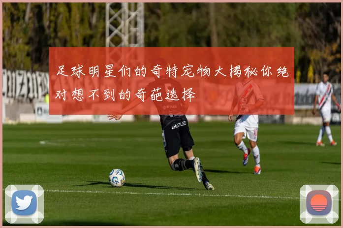 足球明星们的奇特宠物大揭秘你绝对想不到的奇葩选择