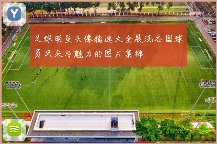 足球明星头像精选大全展现各国球员风采与魅力的图片集锦